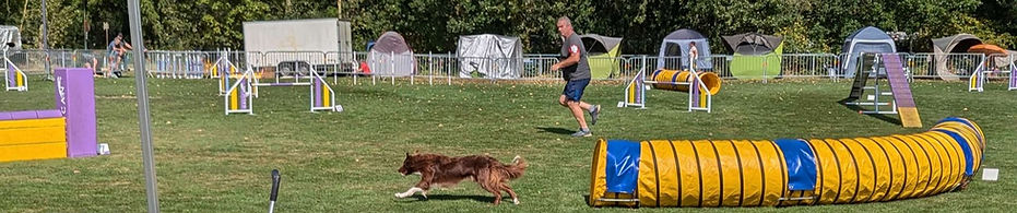 Agility_edited.jpg