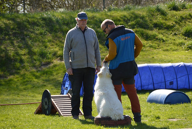 DSC_0161.jpg